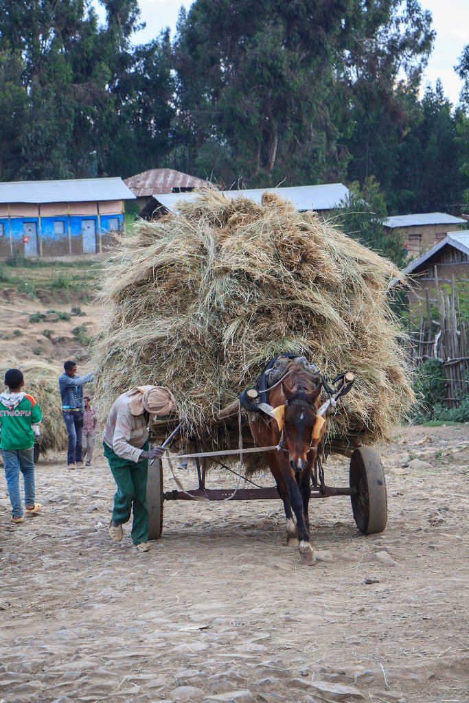 32-Hard labour.jpg - Hard labour